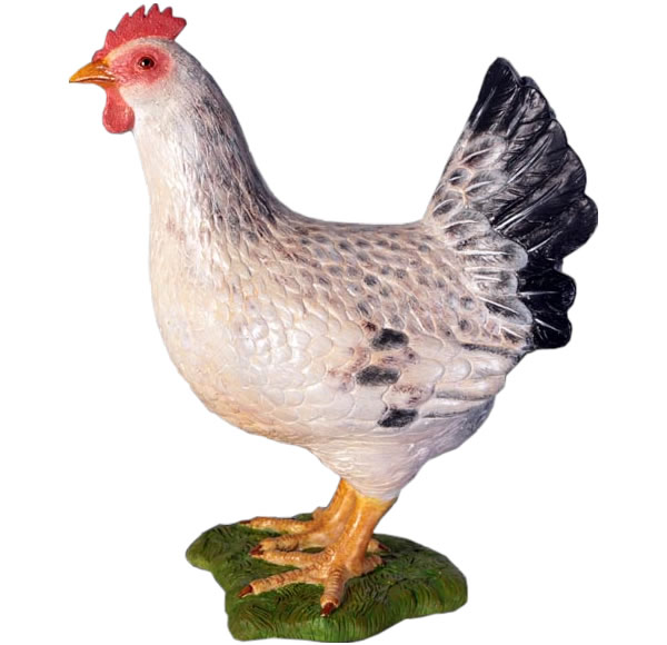 楽天市場】FRPアニマルオブジェ 白い雌鳥【即納可】置物 動物 鳥 鶏