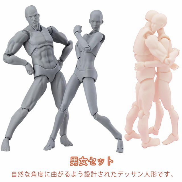 楽天市場】男女セット デッサン人形 モデル人形 デッサンドール