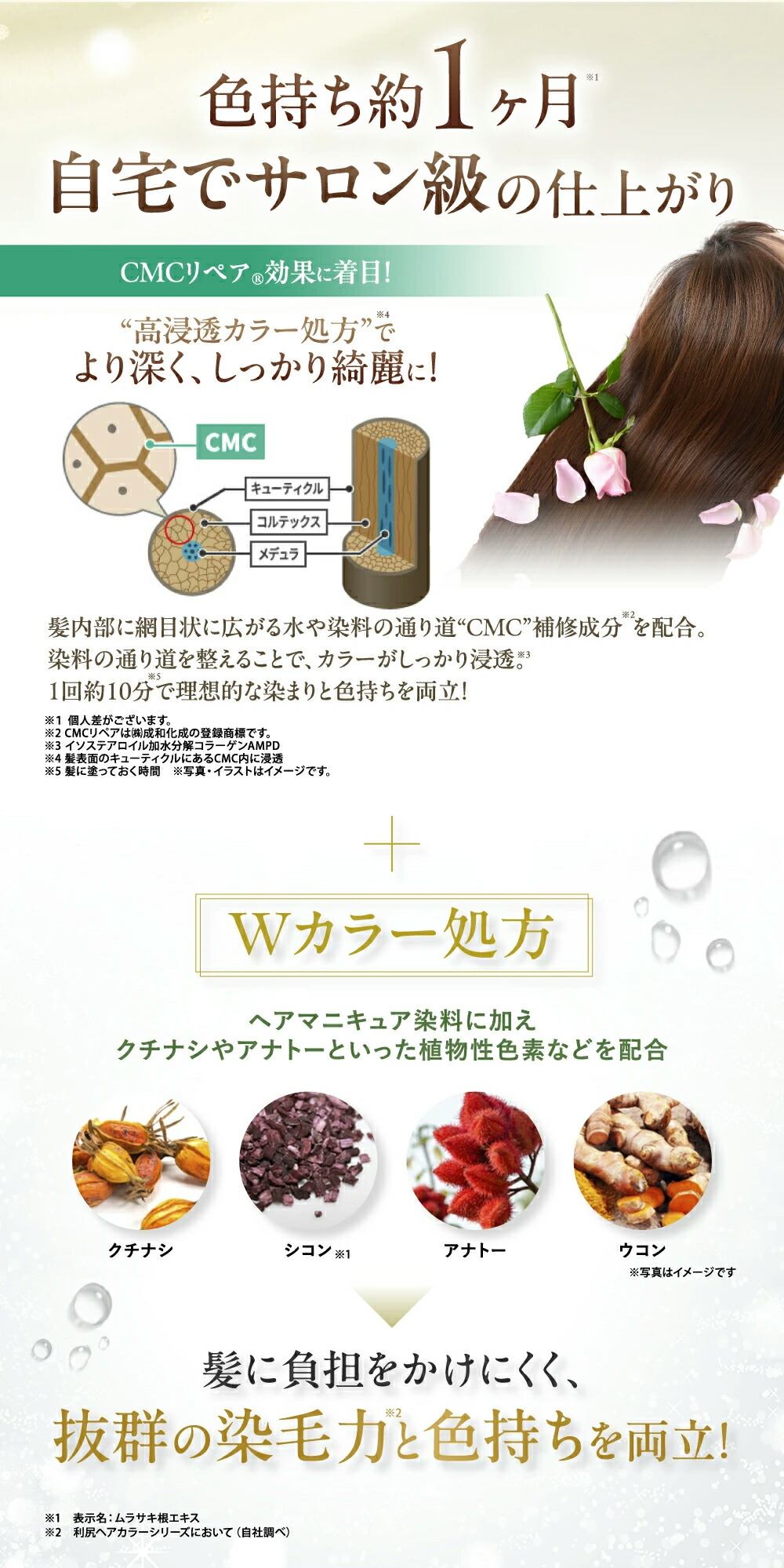 楽天市場】【2/25限定 P5倍 & 送料無料】白髪用 利尻カラークリーム