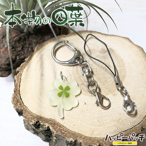 楽天市場】四葉 クローバー キーホルダー ストラップ セルフ 蓄光 四つ