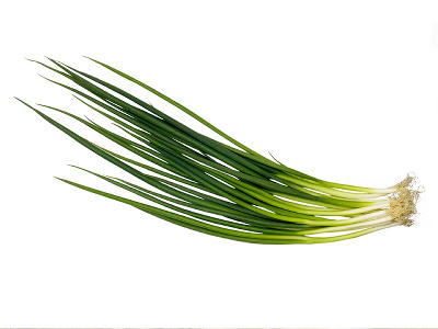 楽天市場】浅葱〈アサツキ〉1パック、10g〜30g前後 : 【築地通販