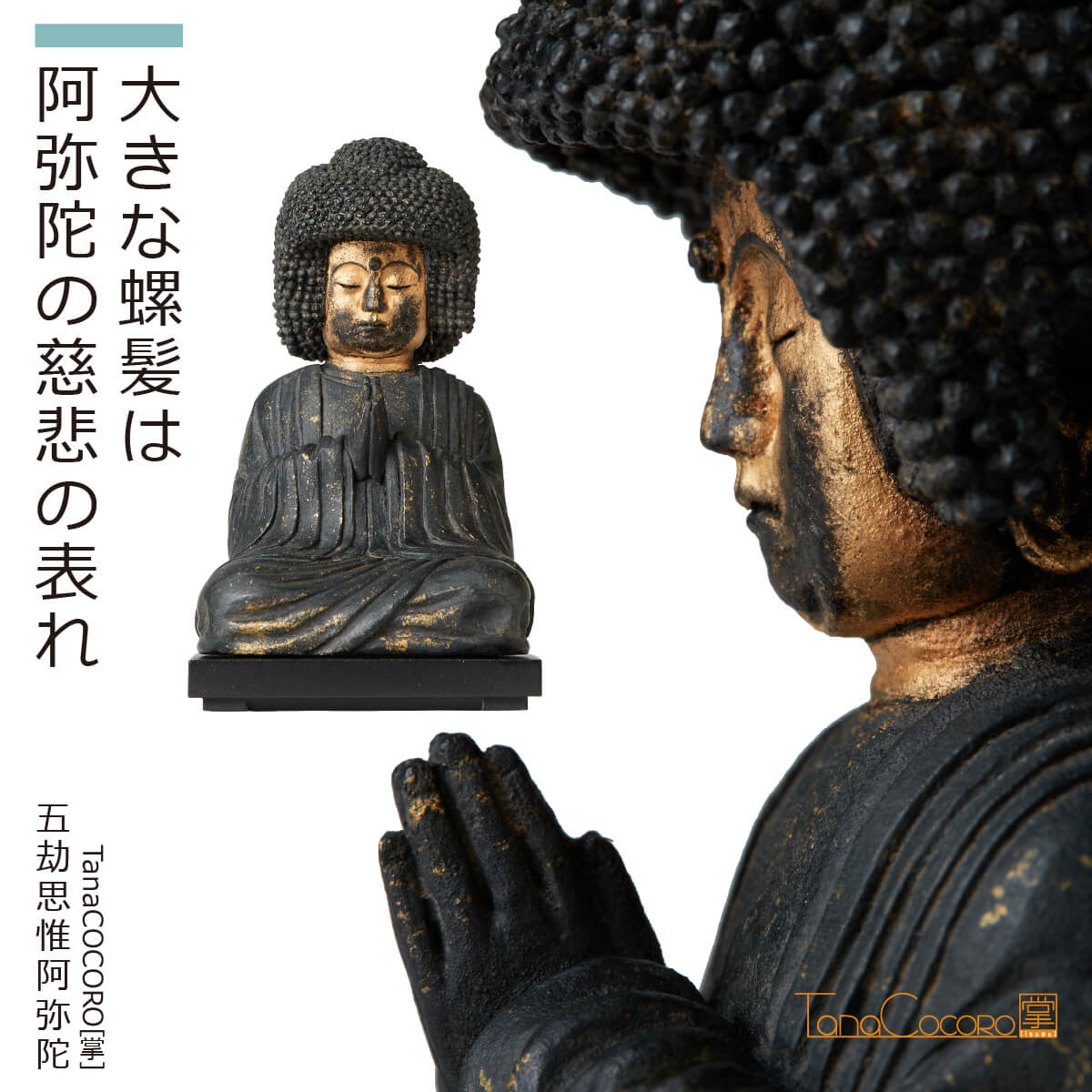 楽天市場】【即納！安心のメーカー直営、直送】 TanaCOCORO[掌]『五劫