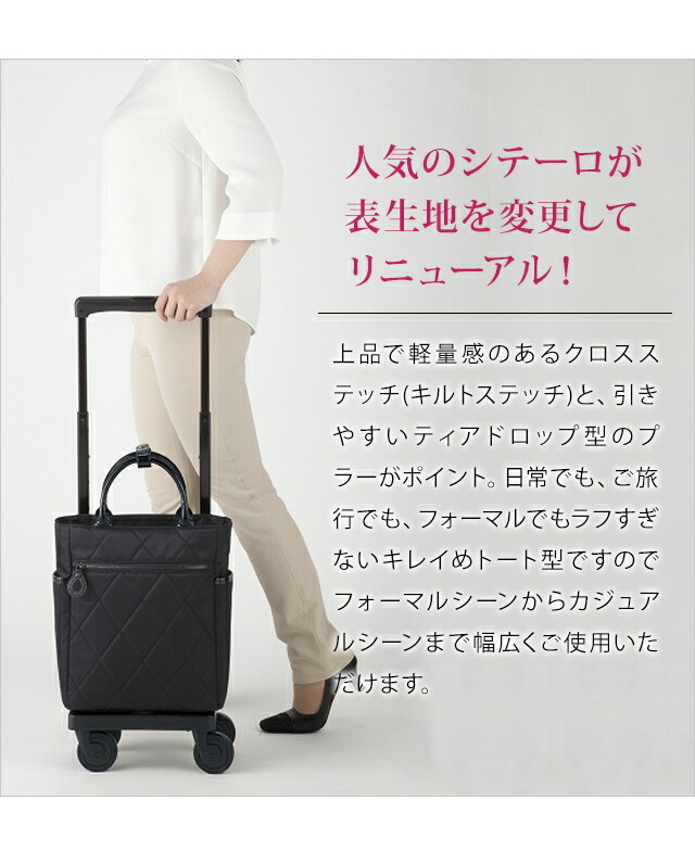 楽天市場】スワニー SWANY ショッピングカート キャリーカート ソフト