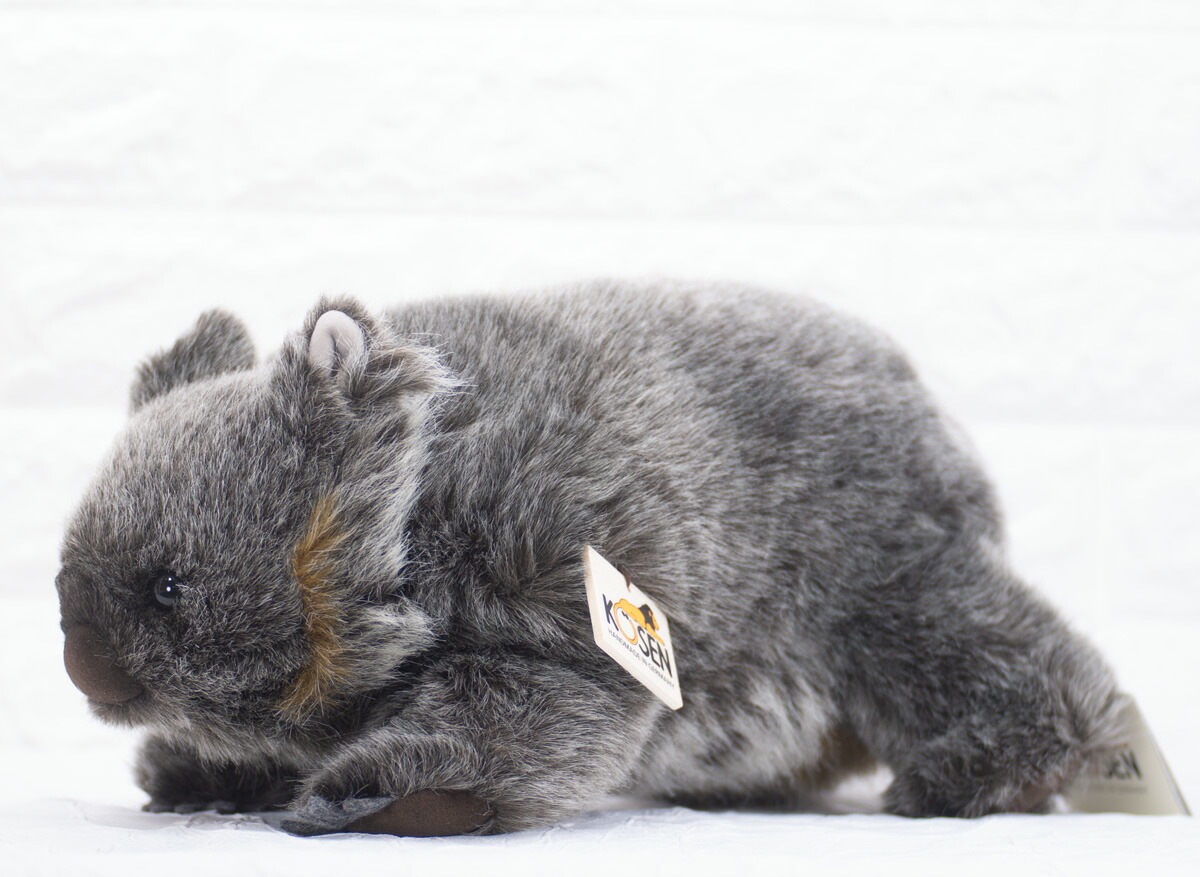 楽天市場】ケーセン ぬいぐるみ kosen ウォンバット 35cm WOMBAT