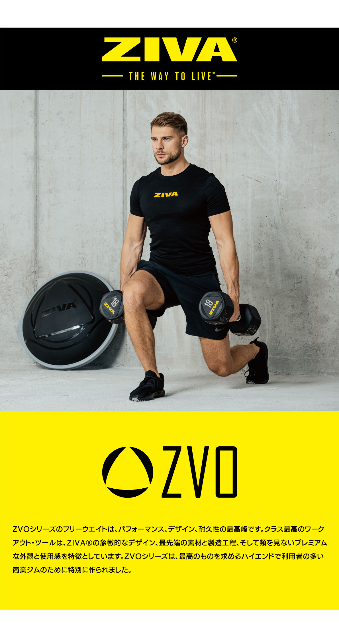 楽天市場】【業務用】EZカールバー EZバー 1.2m 10kg 径50mm シャフト