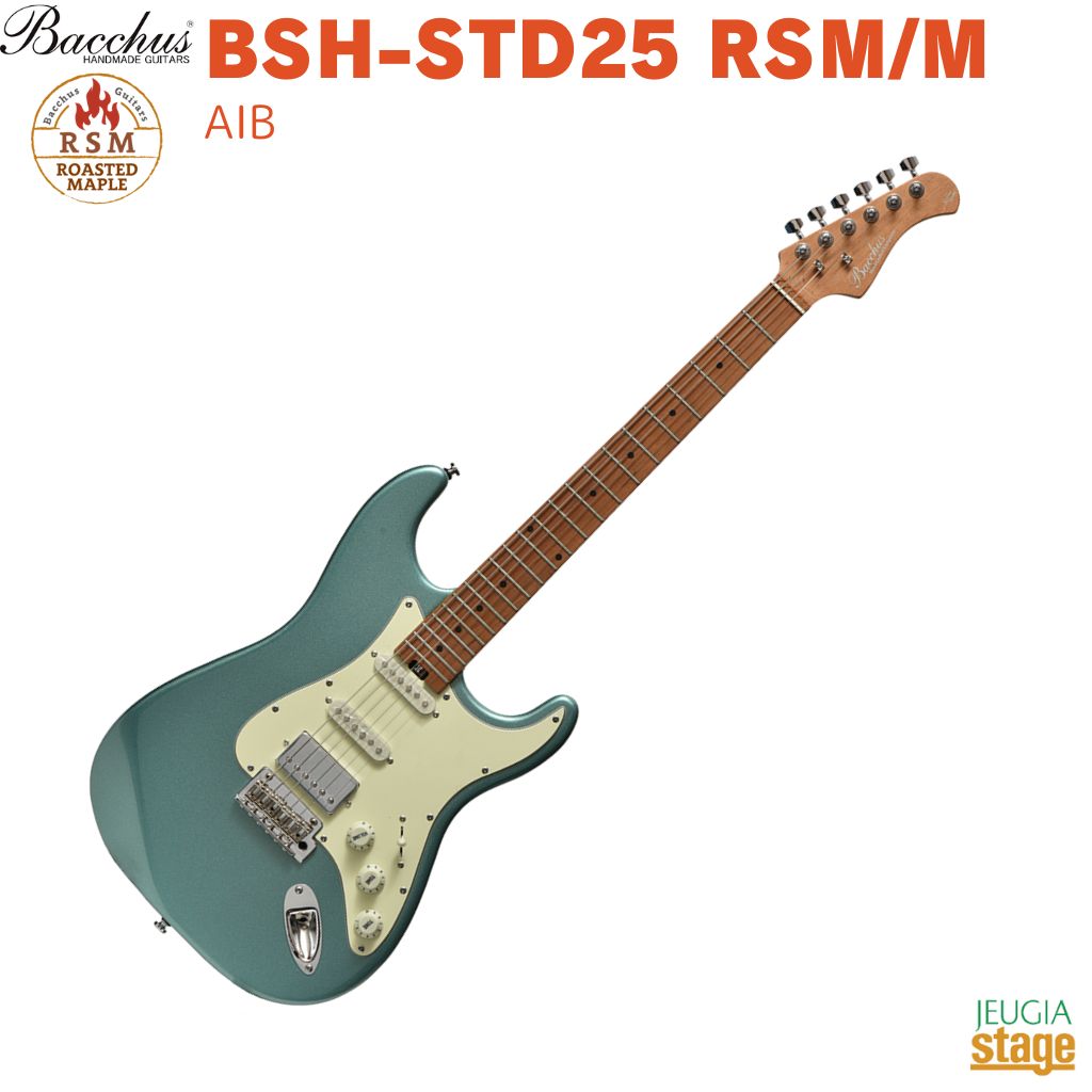 楽天市場】bacchus ギター ブルーの通販