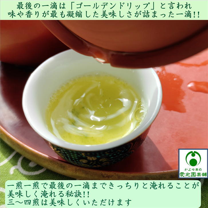 楽天市場】透かし織部急須 急須 きゅうす 鍔付き 透かし入り 一休窯