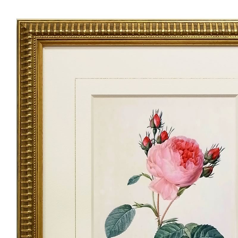 楽天市場】【スーパーセール価格】 絵画 インテリア ルドゥーテ ローズ