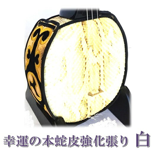 楽天市場】 三線 本蛇皮強化張り 初心者セット : 三線職人の専門店