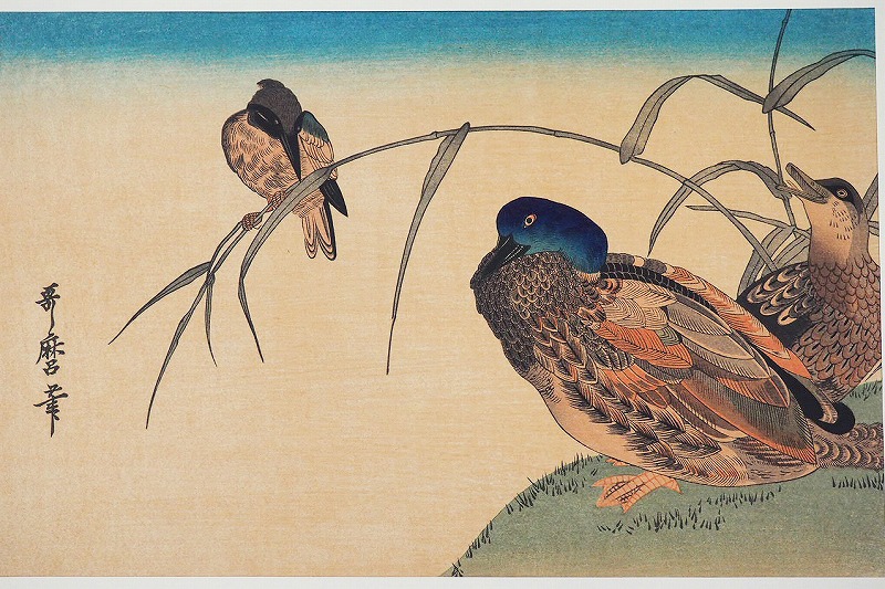 楽天市場】「芦に鴨」 喜多川歌麿傳統芸術純木版手摺 版画浮世絵 花鳥