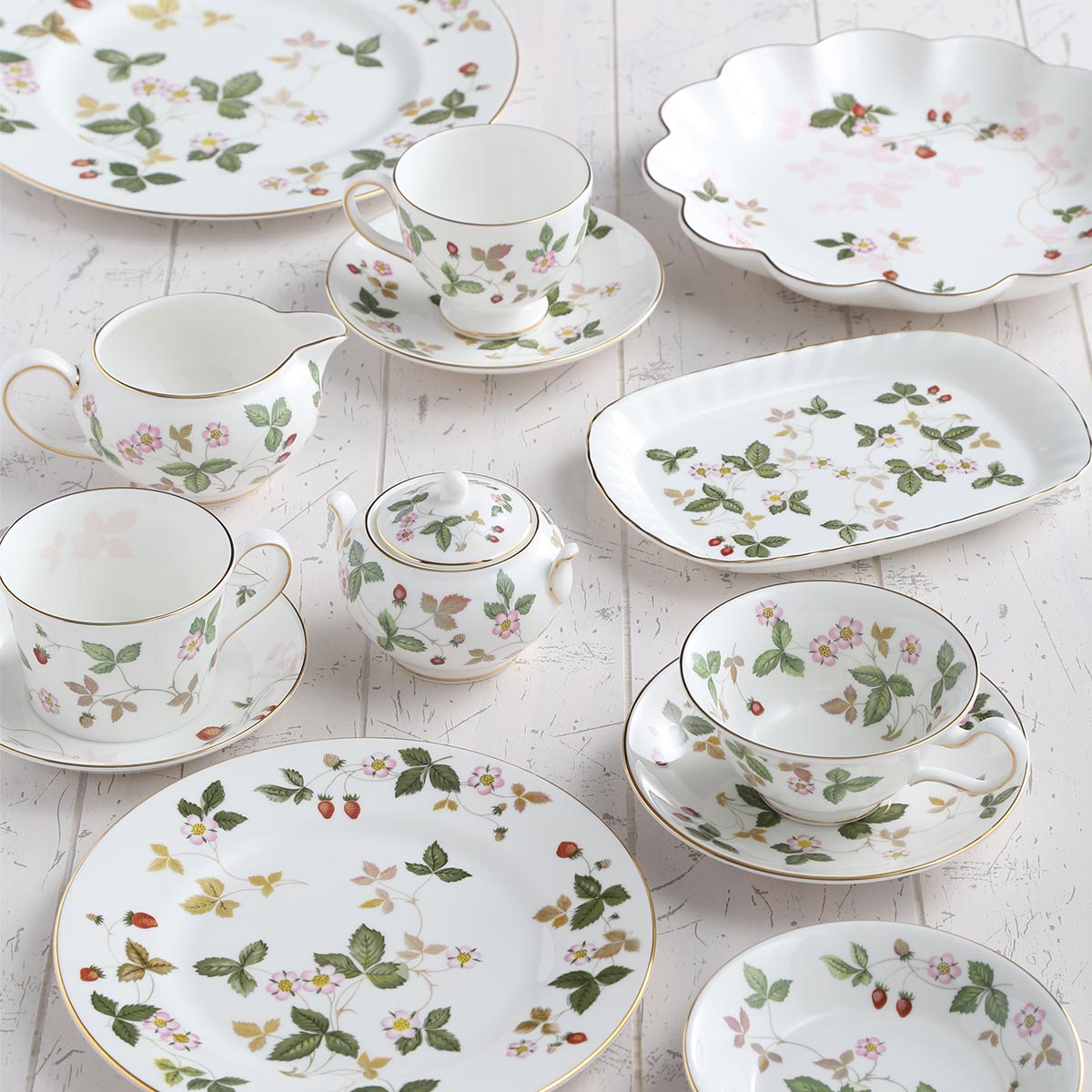 楽天市場】【3/1クーポン・P10】 ウェッジウッド (Wedgwood) ワイルド