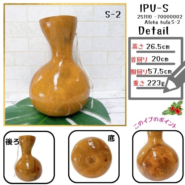 楽天市場】イプ Sサイズ フラ フラダンス 楽器 ハワイ ハワイアン