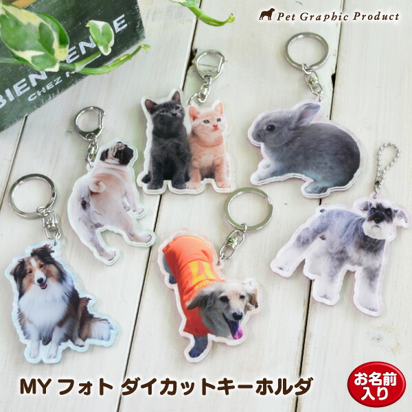 楽天市場】アクリルキーホルダー 猫 MYフォト 【ダイカット】 4mm厚