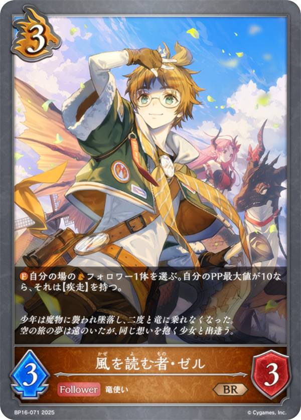 ア*イ様 シャドウバースエボルヴ 公式スリーブ エクストラ vol.2〜16