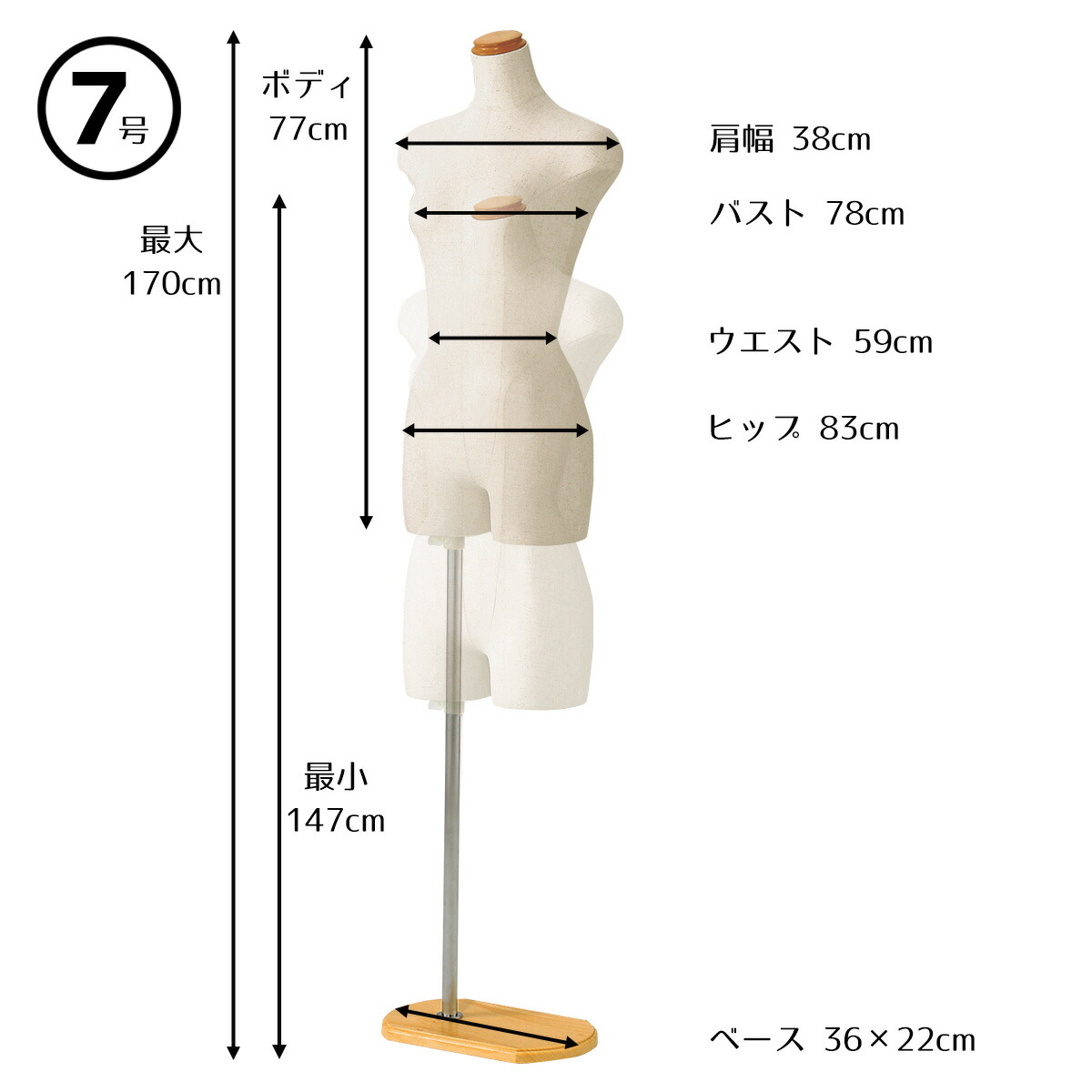 楽天市場】【業務用】婦人ヤング芯地張トルソー 7号 ステンレス調 1台