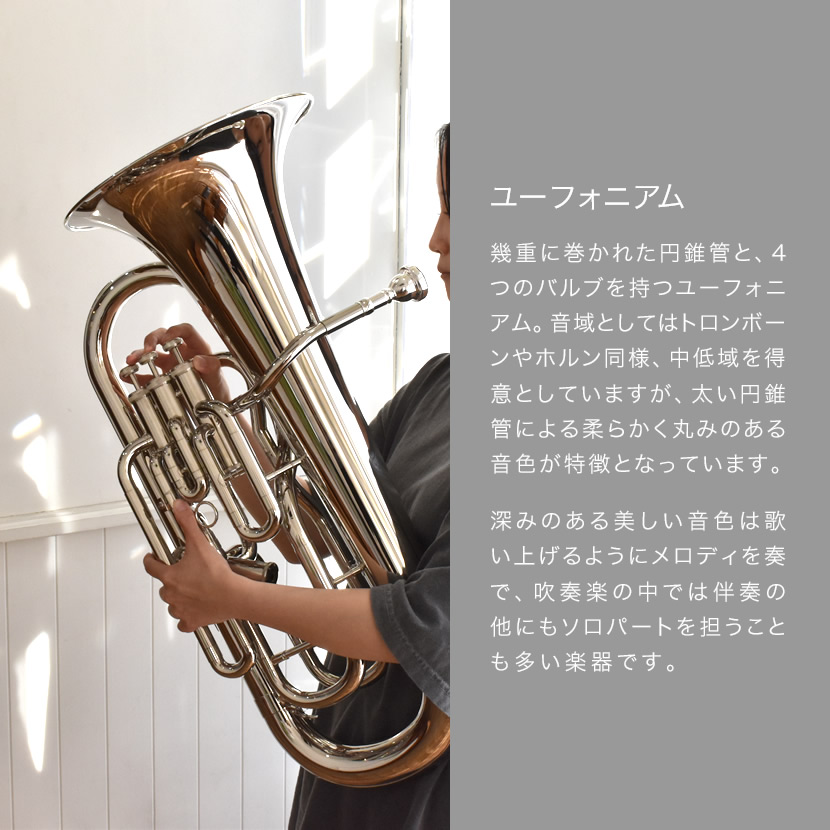 楽天市場】ユーフォニアム Soleil SEU/SV シルバー 初心者入門セット