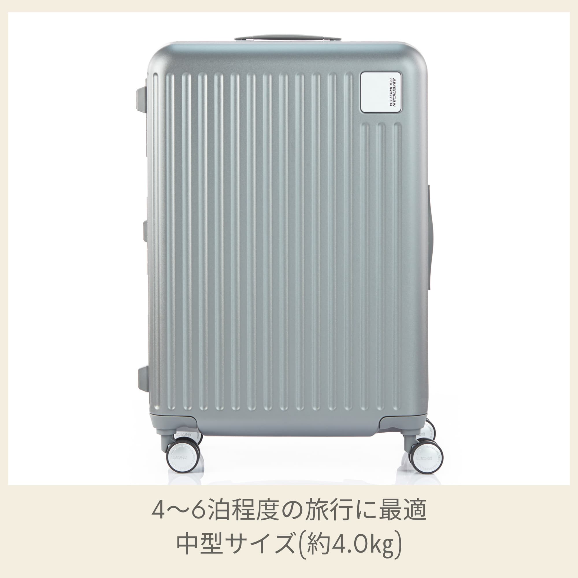 楽天市場】【24時間限定】対象P10倍☆1日0:00-23:59≪公式店≫【セール