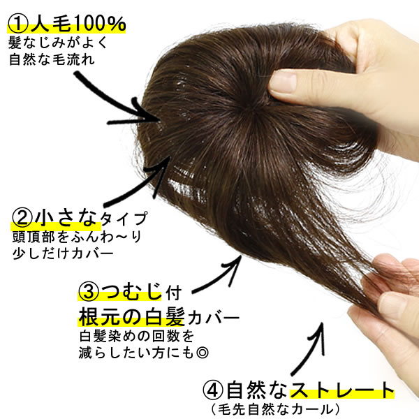 楽天市場】ウィッグ 部分ウィッグ ヘアピース 人毛100％ 円形脱毛症