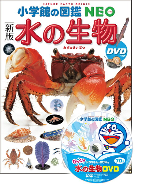楽天市場】【収納BOX付・送料無料・条件有】小学館の図鑑NEO［新版］水
