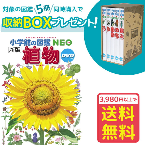 楽天市場】【収納BOX付・送料無料・条件有】小学館の図鑑NEO［新版