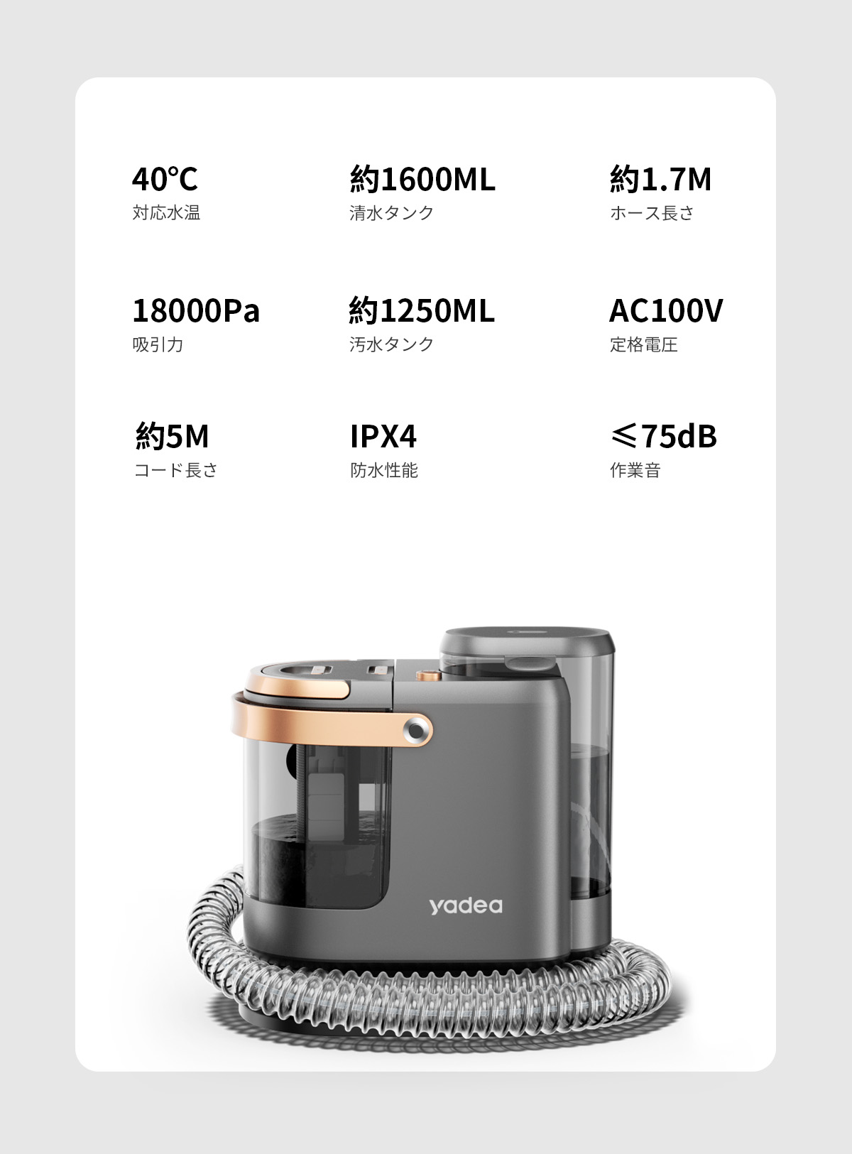 楽天市場】【スーパーセール限定50％OFF☆19,000円⇒9,500円