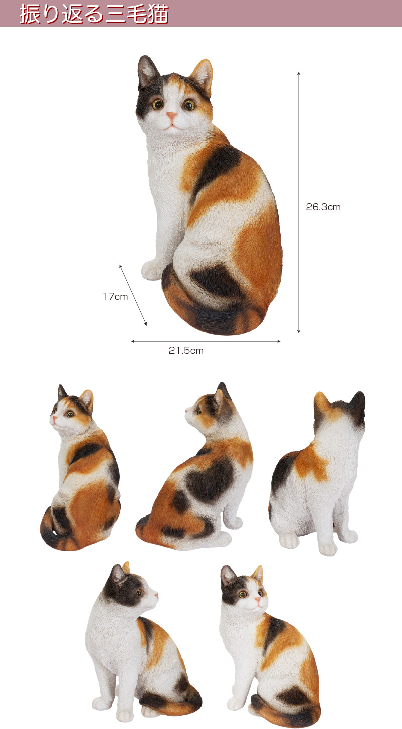 楽天市場】振り返る三毛猫 21.5 x 15 x 26.3cm (幅x奥x高) 本物