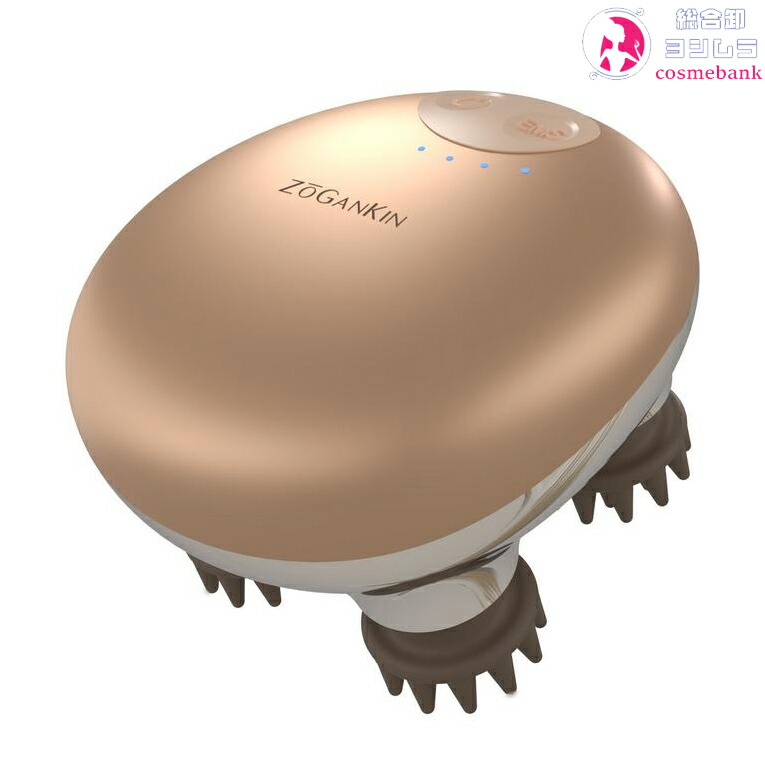 楽天市場】ZOGANKIN SCALP ゾーガンキン スカルプ｜頭皮・全身