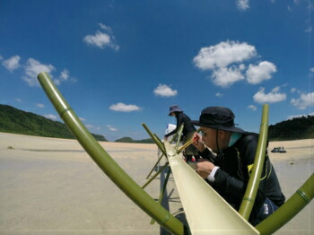楽天市場】流しそうめん 人工竹 基本セット 流しそうめん 竹 本格流し