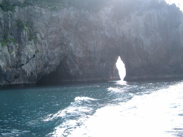 勝浦温泉 民宿わかたけ 紀の松島めぐり体験レポート【楽天トラベル】