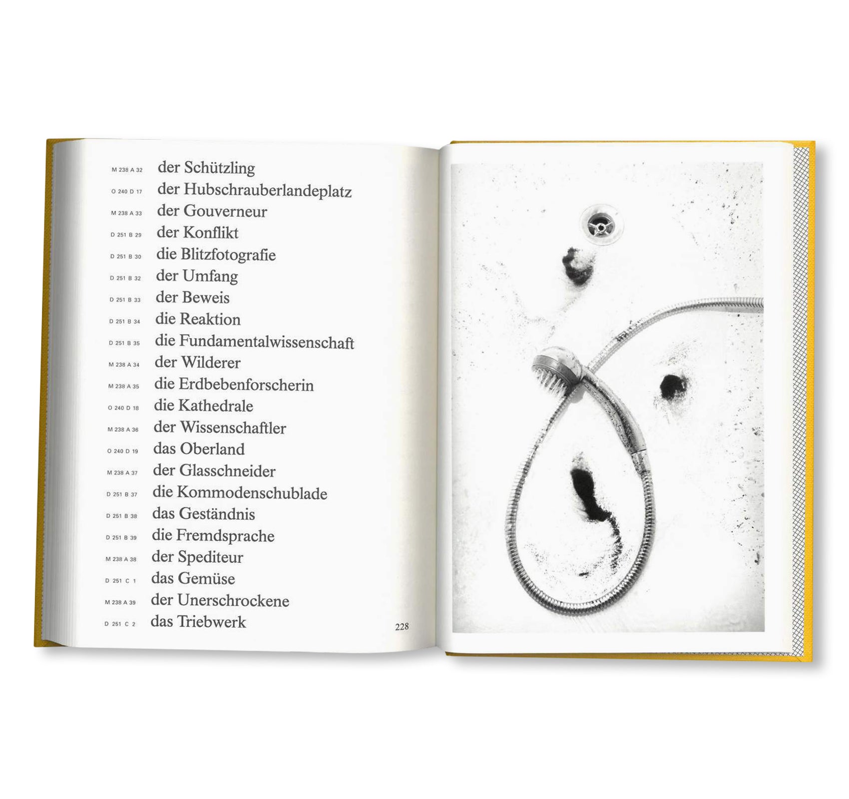 THE AWFUL GERMAN LANGUAGE by Jeffrey Ladd – twelvebooks