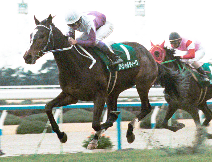 9c9d1f29a55c7a64008a7019c3e385