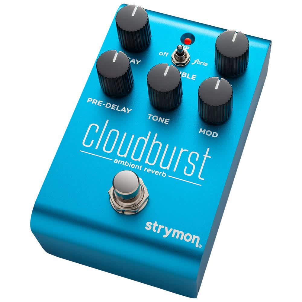 Strymon Cloudburst Ambient Reverb Pedal - Vintage King