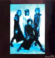 Spiral Code - ZXS | vkgy (ブイケージ)