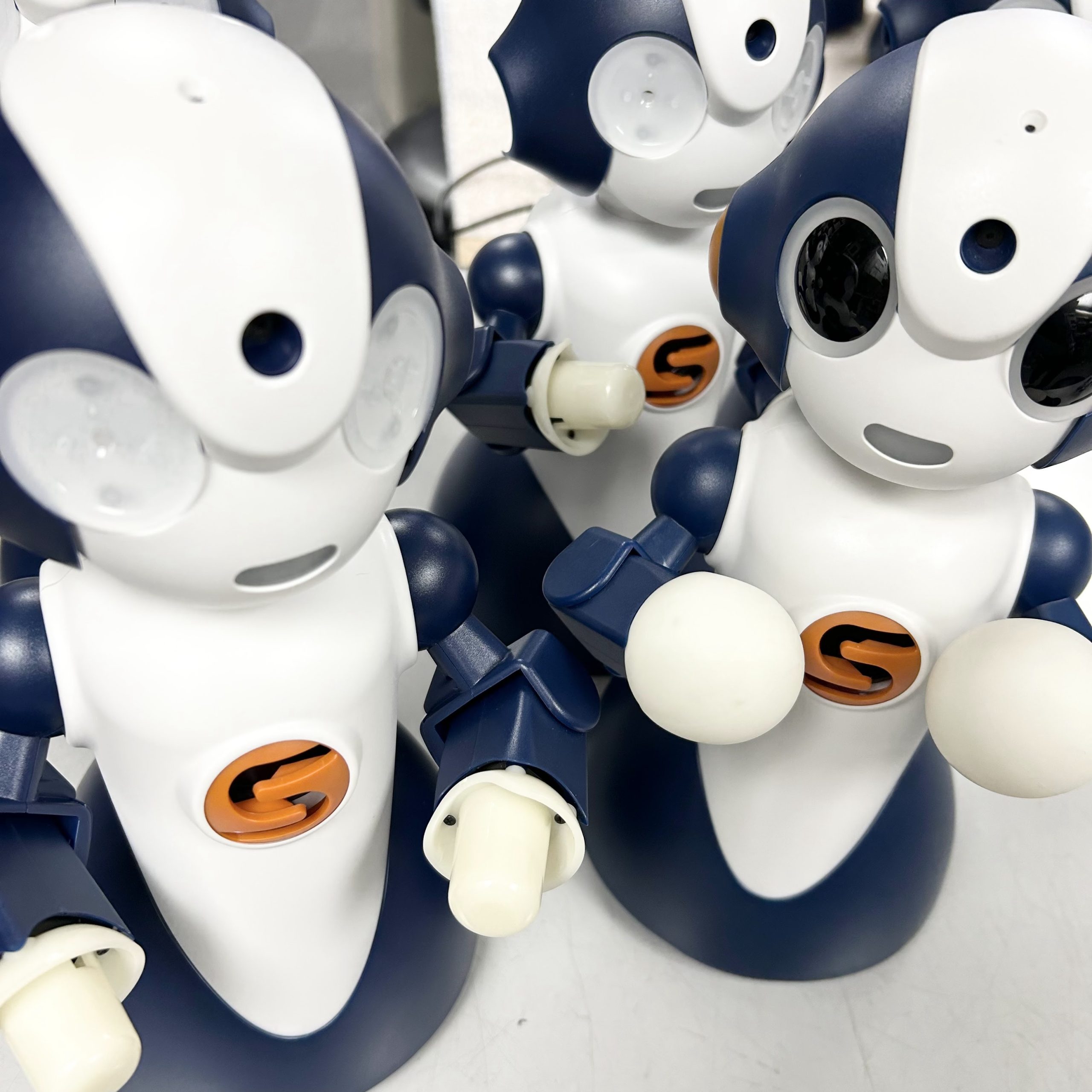 本年もよろしくお願いいたします🐍 - ロボット専門店のスタッフブログ