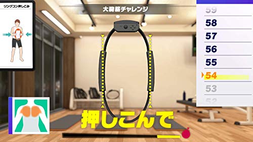Nintendo Switch Ring Fit Adventure – WAFUU JAPAN