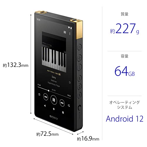 SONY Walkman 64GB ZX Series NW-ZX707 : High-end streaming WALKMAN