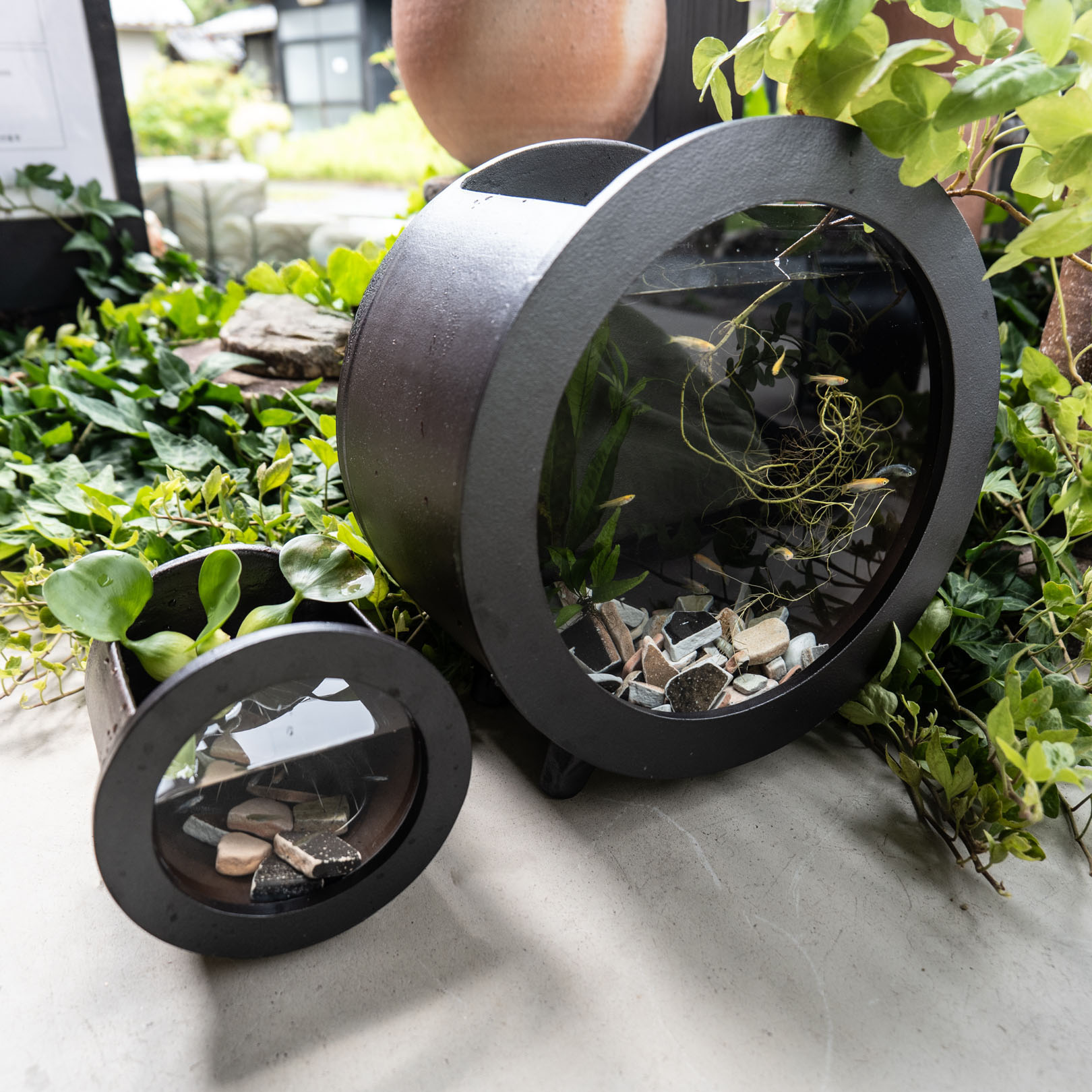 丸水槽・小（黒） | 明山 オンラインショップ