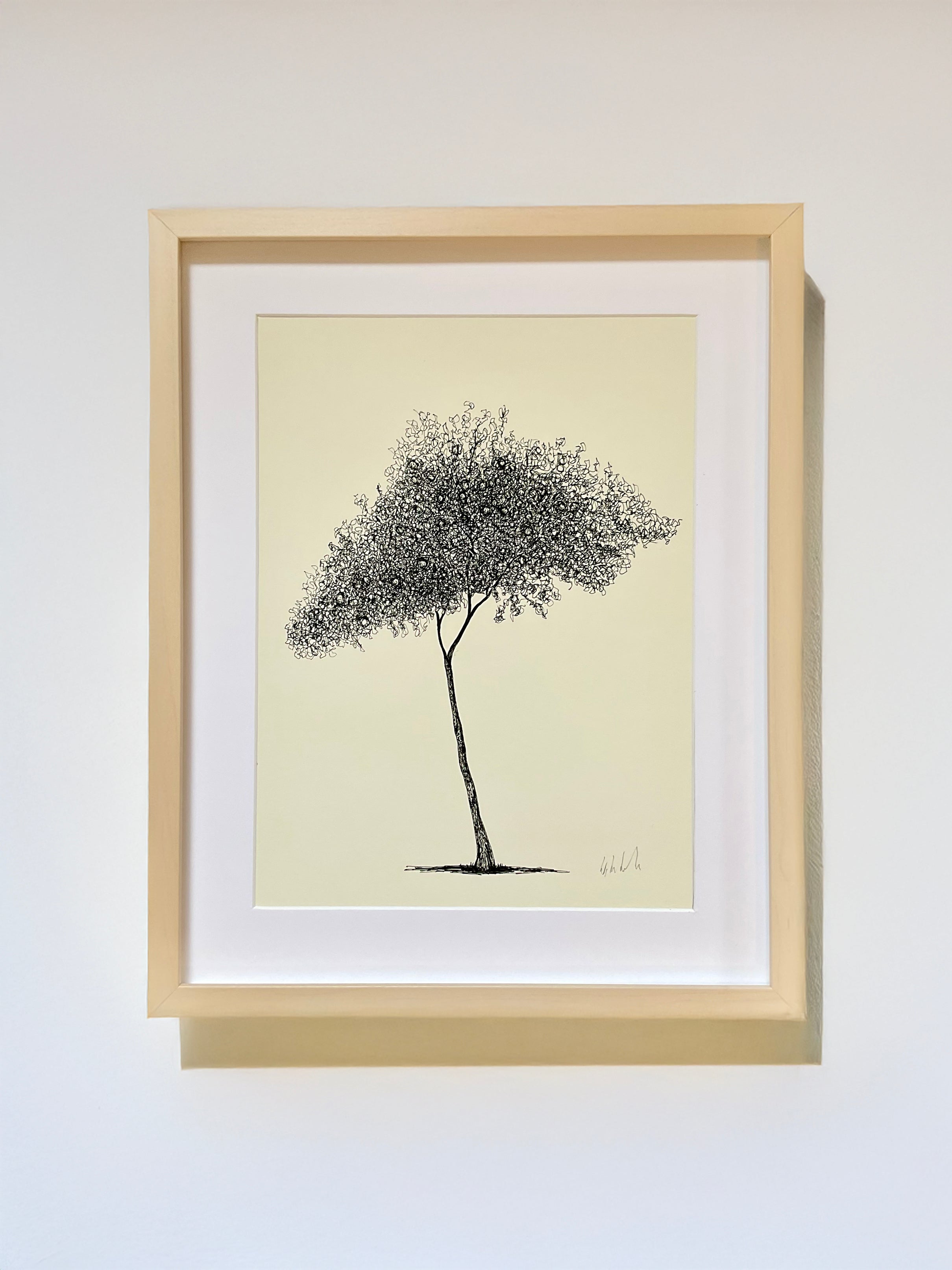 Athens Orange Tree - A3 Tree Print by Warren Garland – Warren