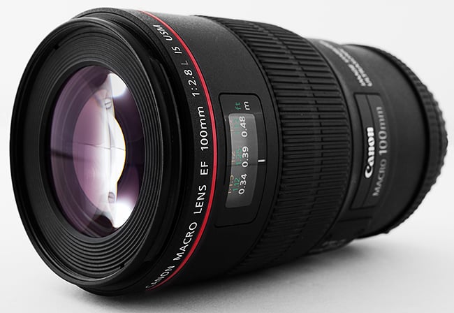REVIEW – Canon EF 100mm f/2.8L Macro IS USM Lens - We Eat Together