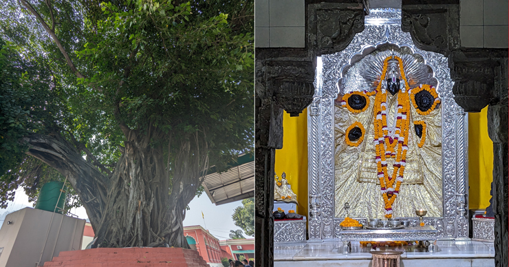 トリムルティの御神木と黒いヴィシュヌ像の神圧におののく！ リシケシ