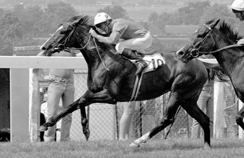 ドーヴィル（Deauville） | 競馬データベース | JRA-VAN World - 海外