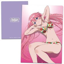 ストライクウィッチーズ OVA タオルケット (キャラクターグッズ