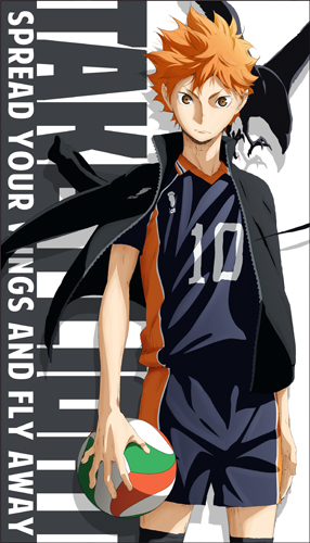 日向翔陽ビッグタオル [ハイキュー!!] | キャラクター公式グッズ