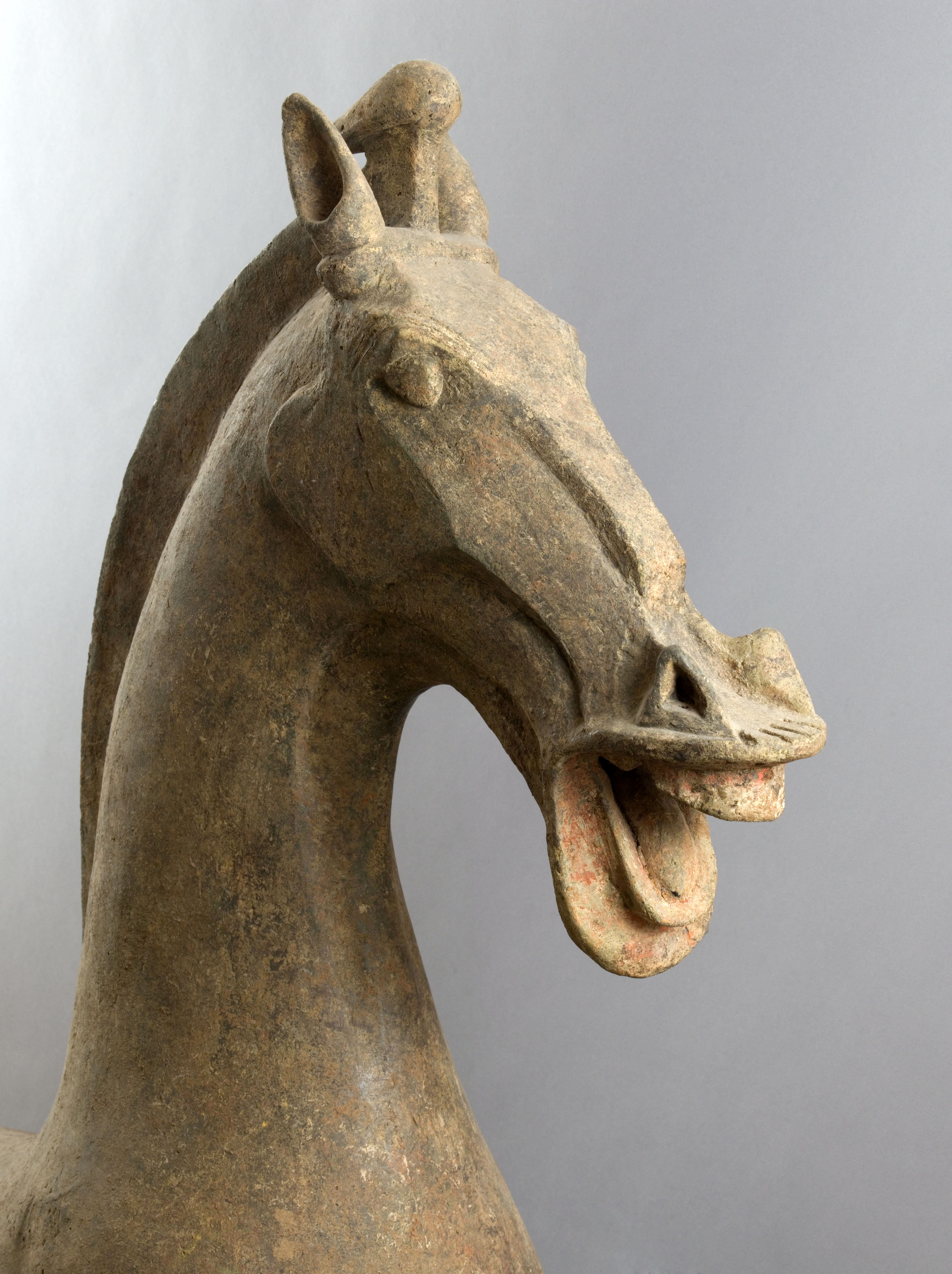 K. Cantarella Thoroughbred 馬の彫刻 K. Cantarella Thoroughbred 馬