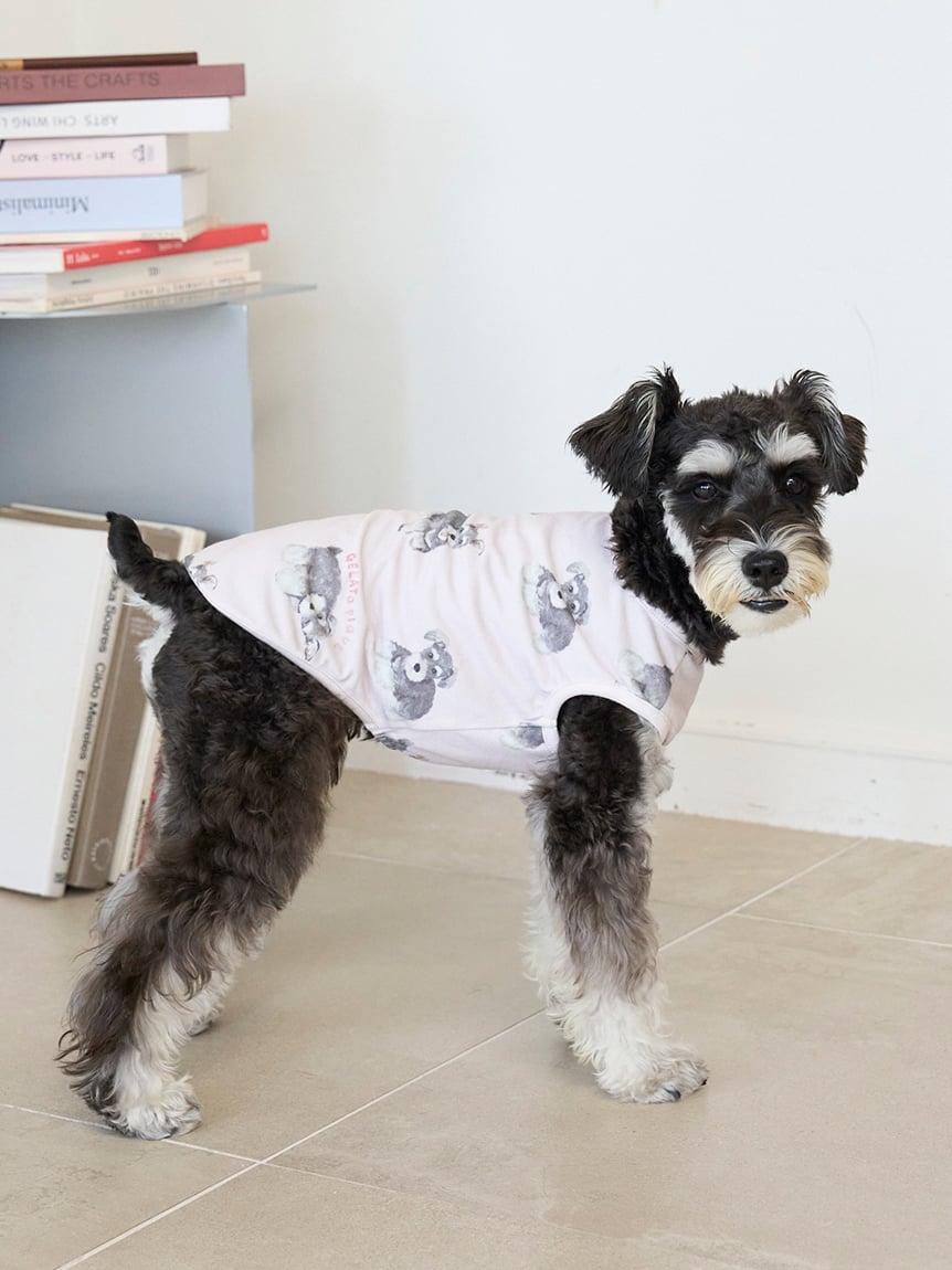 gelato pique（ジェラートピケ）【CAT&DOG】【販路限定商品