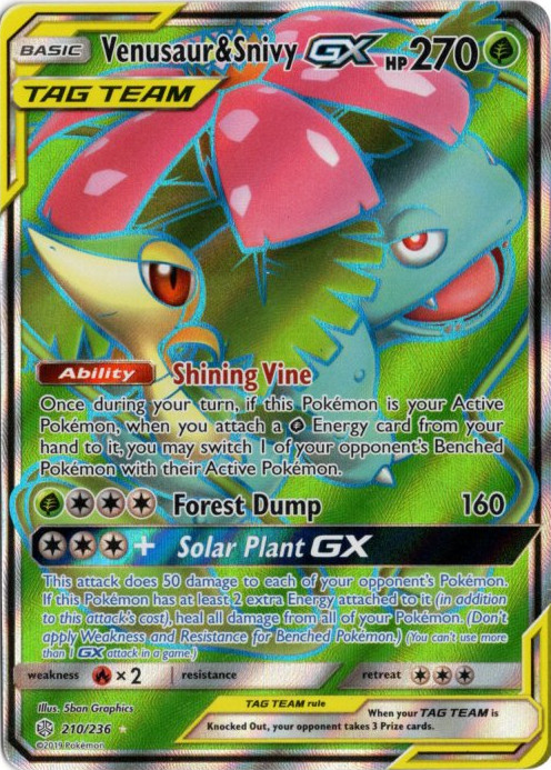 フシギバナ&ツタージャGX SR 海外版 英語版 Venusaur & Snivy GX - 210