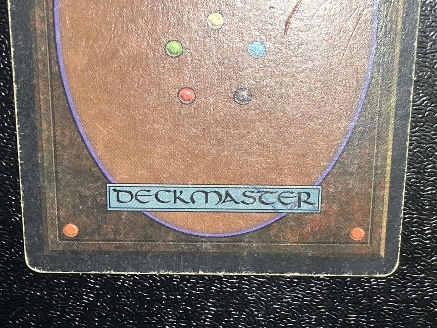 HPLD]Tropical Island《英語》【2ED】#118