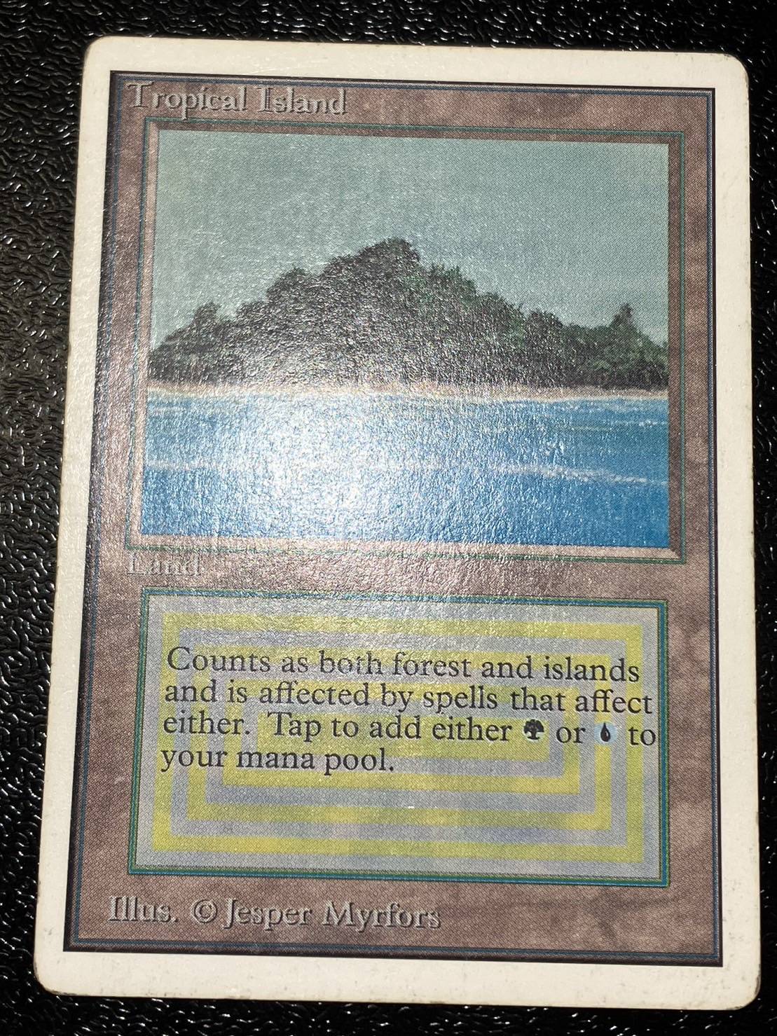 HPLD]Tropical Island《英語》【2ED】#118