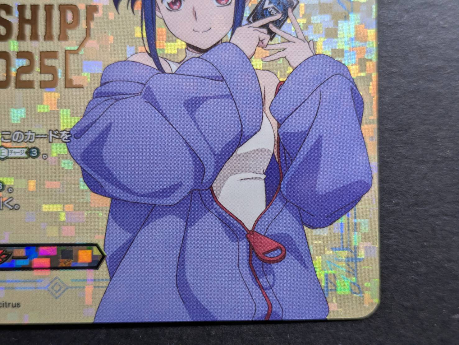 エネルギージェネレーター(明星エリカ)【PR】{D-PR/1496}《その他》