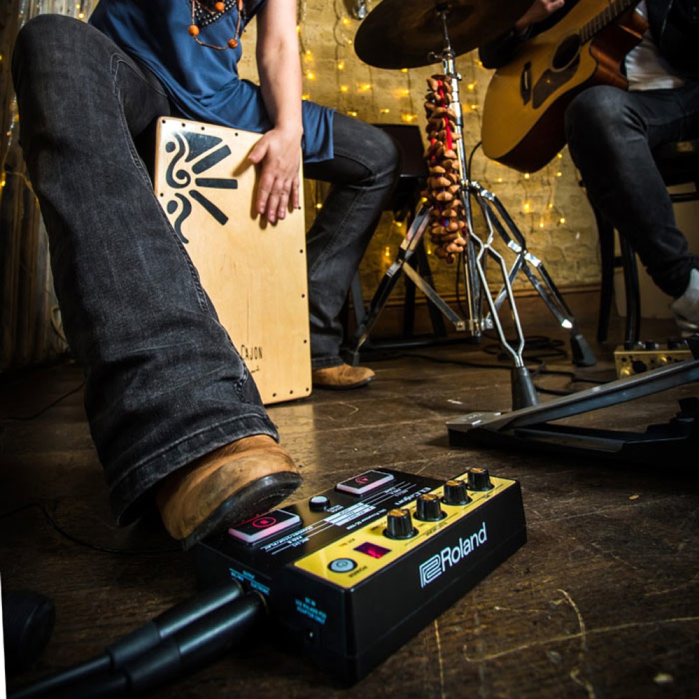 ローランド Roland EC-10M ELCajon Mic Processor カホン専用マイク